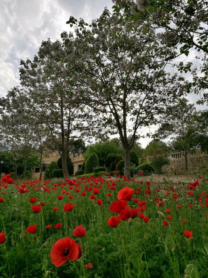 Finca La Celada Guest House Moratalla  Exterior photo